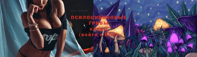 Галлюциногенные грибы Psilocybe  даркнет формула  Мантурово 